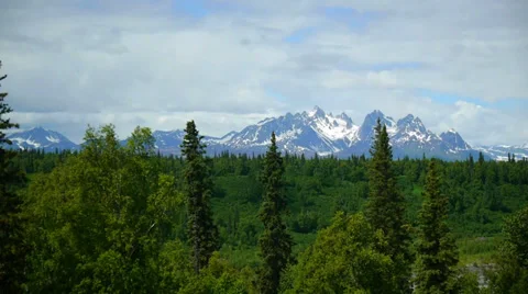Pan Right, Lush Forest, Mountain Range Stock Footage 33525212