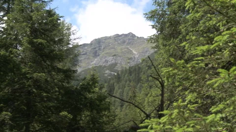 Pan to the right in the middle of the mountains Stock Footage 231468655