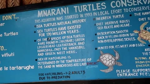 Pan right on Mnarani turtles conservation sign with rules, history and Stock Footage 233661238