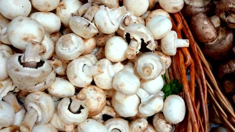 Pan right over fresh white mushrooms at market Video stock 328223183
