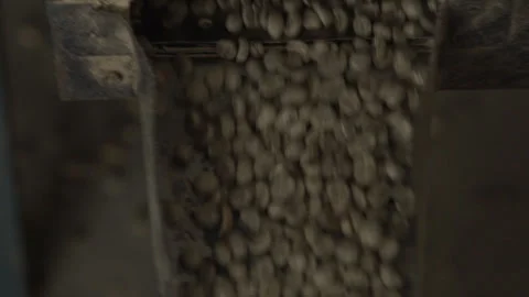 Pan Right Reveal Slow Motion Coffee Beans Pouring Into Bin Thailand Vidéo 336287401