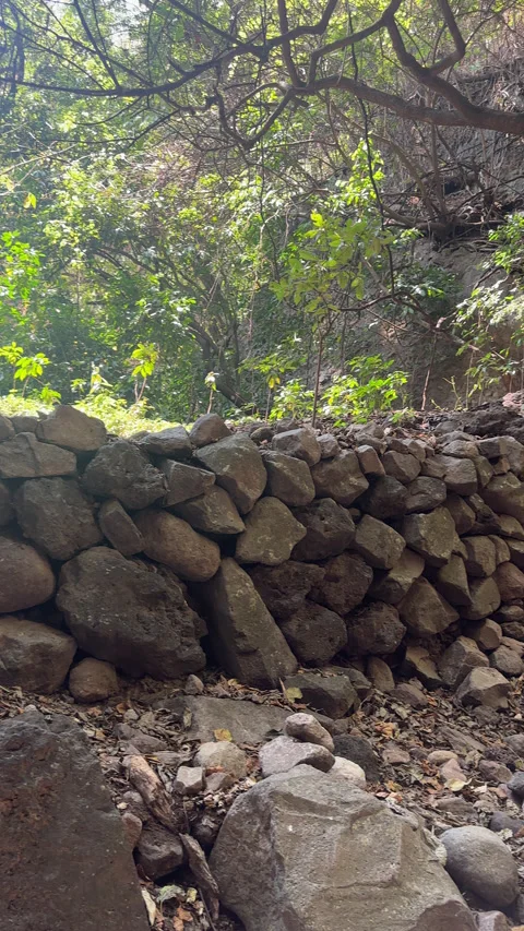 Pan Right Showing Stone Wall and Path to Tepozteco Summit – February 2025 Stock Footage 313371290