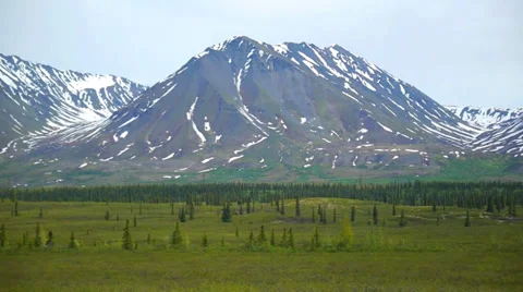 Pan Right Snow Capped Mountain Range with Green Field Stock Footage 37399312