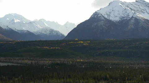 Pan Right Snow-Capped Mountains Fall Colors Foreground 2 Stock Footage 38089300