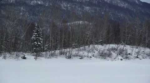 Pan Right Snowy Tree Line on Snow Covered, Frozen Lake Stock Footage 38057697