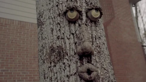 Pan right spooky Face on tree close up Atlanta Georgia 4k Vídeos de archivo 260424186