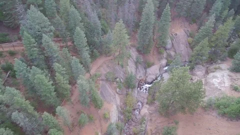 Pan right stream uptilt woods with lens flare Stock Footage 84957048