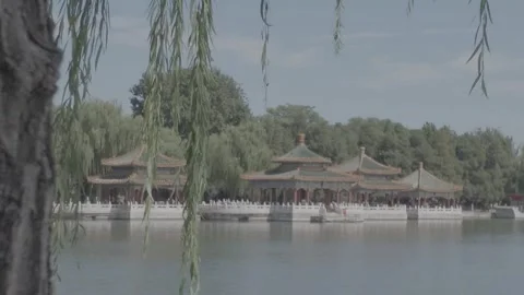 Pan Right from Tree Trunk to Traditional Chinese Lake Pavilions Stock Footage 345470625