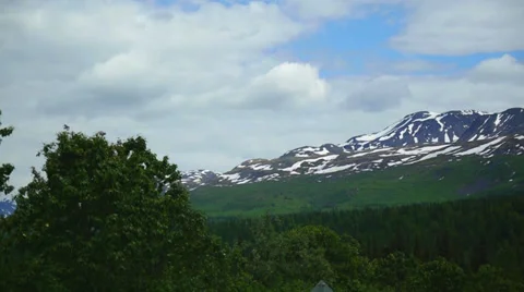 Pan Right From Trees to Mountains Stock Footage 37393400