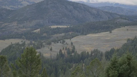 Pan Right Valley Distant Snow Capped Mountains in Yellowstone National Park Stock Footage 122224083