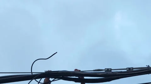 Pan right video of an electrical worker hands holding twisted aerial cables. Stock Footage 345128663