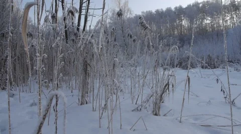 Pan right Winter landscape Stock Footage 57132829