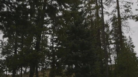 Pan Right Yellowstone Observation Point Old Faithful Sign Stock-Footage 122224090