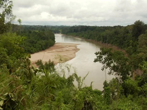 Pan from River in Amazon Jungle Rainforest Stock Footage 112942136