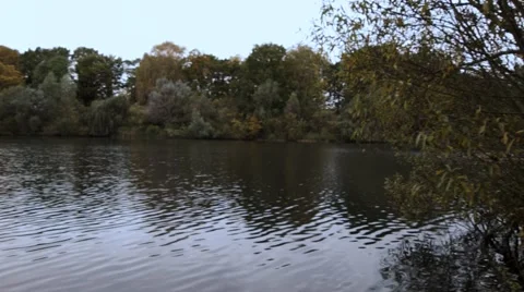 A pan at a river Stock-Footage 46119816