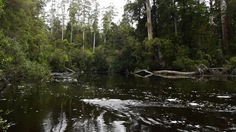 Pan of river Stock Footage 89025186