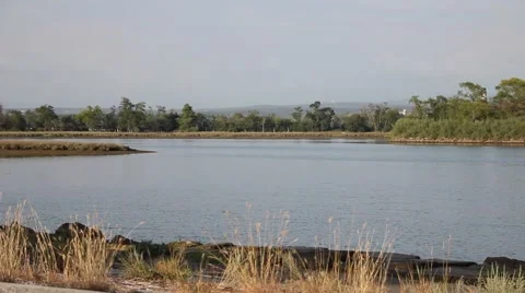 Pan on a river in the lagoon Stock Footage 47993067