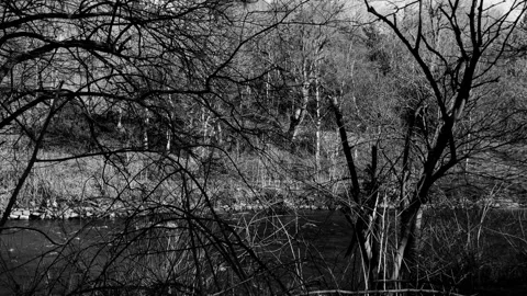 Pan up from river to reveal tower of old building Video stock 171801066
