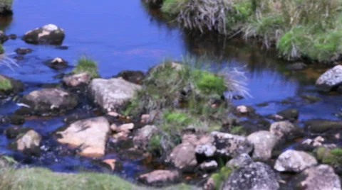 Pan river to rock pool Video stock 859063