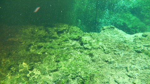 Pan From River to Spring Water Stock Footage 739115