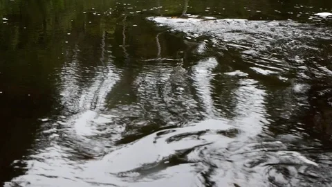 Pan of river (vertical) Stock Footage 89025358