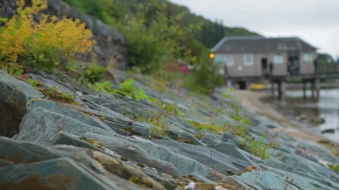 Pan from Rocks to water with pier in background Video stock 100541839