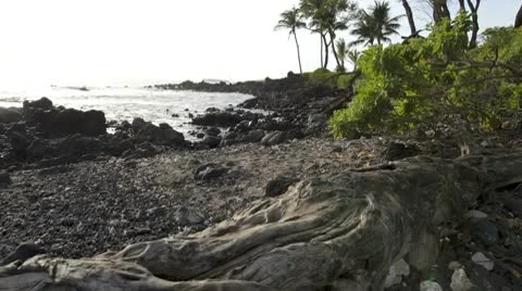 Pan of Rocky Beach Stock Footage 9184346