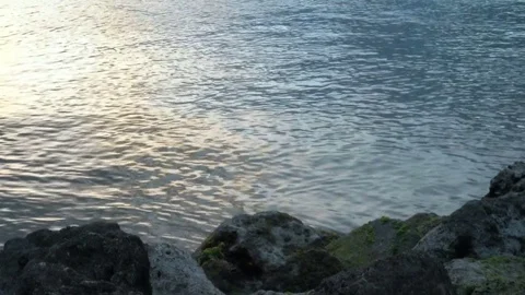 Pan of Rocky Shore Stock Footage 76103965