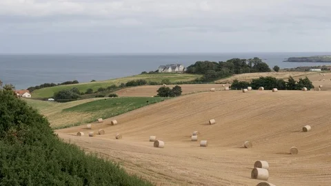 Pan-Rolls of baled straw dot rolling fields Scottish coastal farm Stock Footage 96514523
