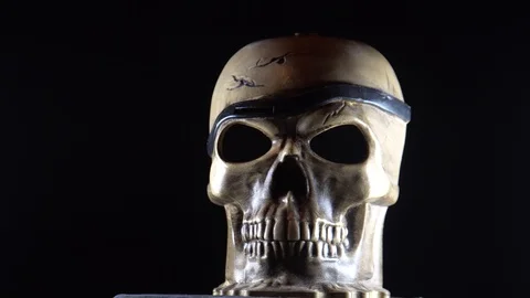 Pan Rotating left to right High Definition HD Video Clip Footage of skull Stock Footage 119231886