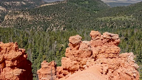 Pan-Rugged red rocks on canyon rim-Pine forest beyond Stock Footage 247333670