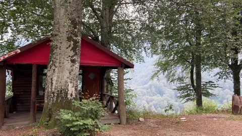 Pan from Rustic Wooden Cabin to Forest Valley View in Kartepe, Turkey Stock Footage 342279328