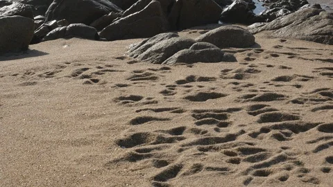 Pan up from sandy beach over rocks to white turbulent foamy waves on ocean Vídeos de archivo 103629907
