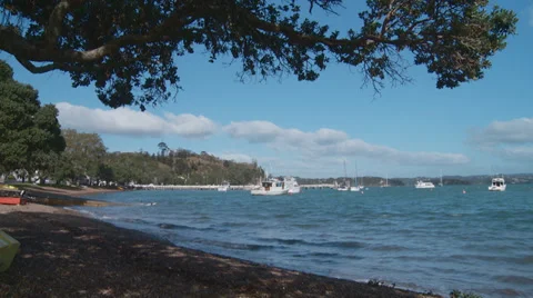 Pan from sea onto tree covered beach Stock Footage 39563336