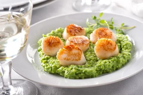 Pan Seared Scallops Foto stock