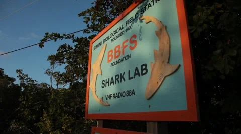 Pan onto Shark Lab sign Stock Footage 48057947