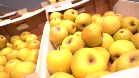 PAN Shelf full of fresh yellow and green apples Stock Footage 166995797