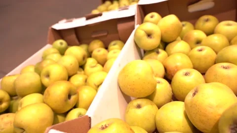 PAN Shelf full of fresh yellow and green apples Stock Footage 167930686