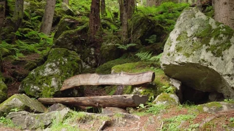 Pan shot of a abandoned bench in the forrest Stock Footage 283566569