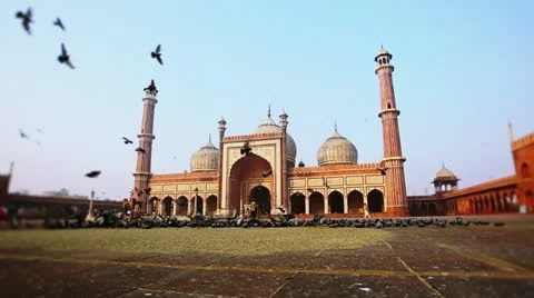 Pan shot of birds flying in front of a mosque Stock Footage 30125823