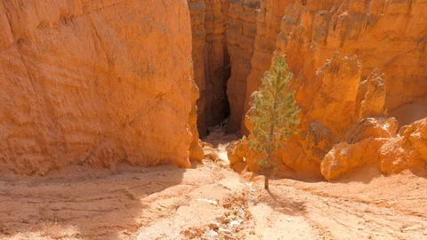 Pan Shot Bottom UP Famous Sand Mountain Red Orange Bryce Canyon National Park 4k Stock Footage 86504897