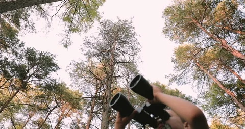 Pan shot boy looking through binoculars in forest Stock Footage 116132884