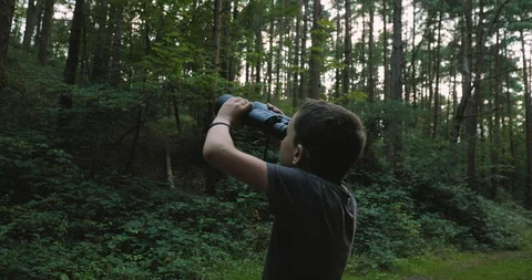 Pan shot boy looking through binoculars to forest Stock Footage 116134936