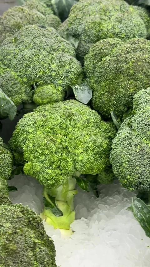 Pan shot bunch of fresh broccoli on ice tray Stock Footage 318778153