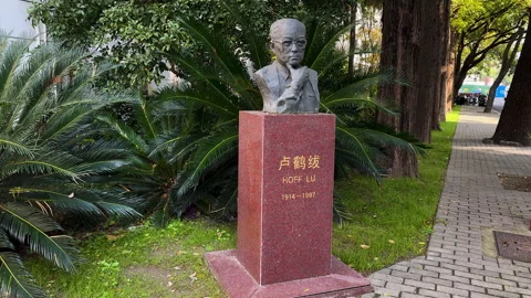 Pan shot of bust of Hoff Lu or Hefu Lu Stock Footage 293537619