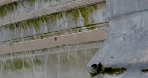 Pan shot from close-up of column showing deterioration of stone to water Stock Footage 169727157