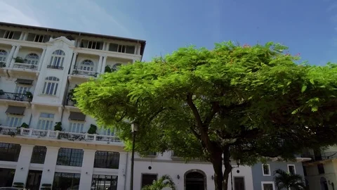 A pan shot of a colonial style building in Casco Viejo Video stock 81185657
