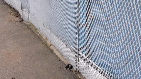 Pan shot of dented wire mesh fence caused by storm damage. Stock Footage 125207404