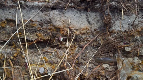 Pan shot of the exposed ground of the polluted sandy beach with trash debris. Stock Footage 89860250