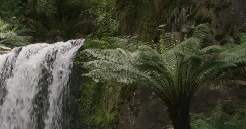 Pan Shot Of Forest With Waterfall, 8K Video stock 330644028